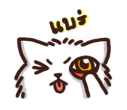 the crazy cat sticker #7119653