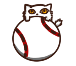 the crazy cat sticker #7119661