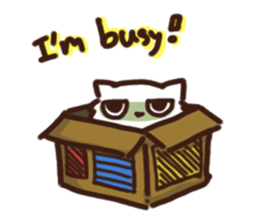 the crazy cat sticker #7119662