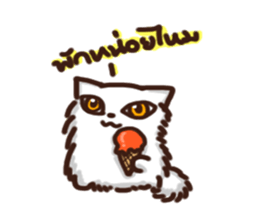 the crazy cat sticker #7119665