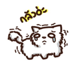 the crazy cat sticker #7119666