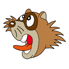 PONKITI of the raccoon dog