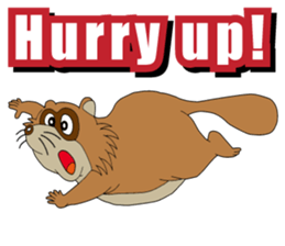 PONKITI of the raccoon dog sticker #7123357