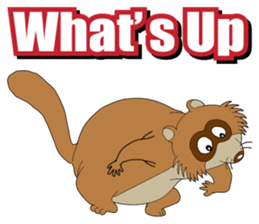 PONKITI of the raccoon dog sticker #7123374