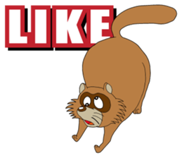 PONKITI of the raccoon dog sticker #7123388