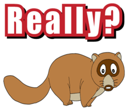 PONKITI of the raccoon dog sticker #7123390