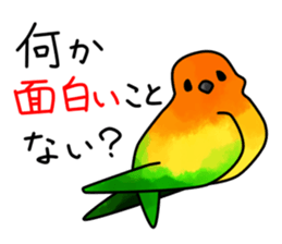 Sun Conure 2(birds) sticker #7123924