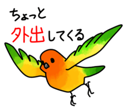 Sun Conure 2(birds) sticker #7123929