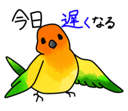 Sun Conure 2(birds) sticker #7123933