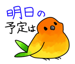 Sun Conure 2(birds) sticker #7123937