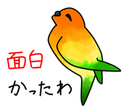 Sun Conure 2(birds) sticker #7123947