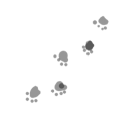 lovely cat  SHIRO  &  TORA sticker #7126999