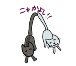 lovely cat  SHIRO  &  TORA sticker #7127004