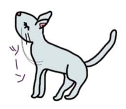 lovely cat  SHIRO  &  TORA sticker #7127016