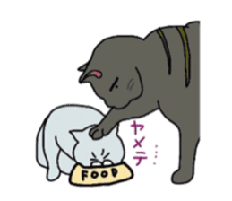 lovely cat  SHIRO  &  TORA sticker #7127023