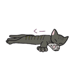 lovely cat  SHIRO  &  TORA sticker #7127025