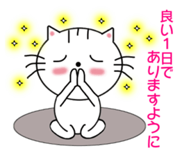 Daily downright cute white cat sticker #7127756