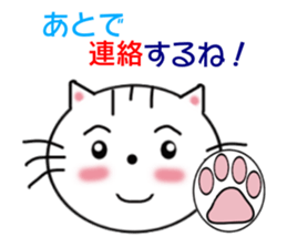 Daily downright cute white cat sticker #7127776