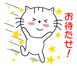 Daily downright cute white cat sticker #7127777