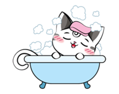 Le Beau De Chaton sticker #7129363