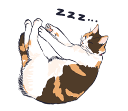 A tortoiseshell cat sticker #7129922