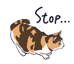 A tortoiseshell cat sticker #7129938