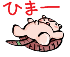 Armadillos sticker #7130328