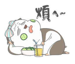 Hamster's diary 2 sticker #7130402