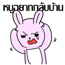 Chicky & Bunny Lady's Life sticker #7131650