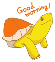 turtle days sticker #7132207