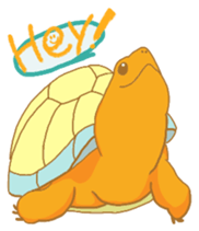turtle days sticker #7132208