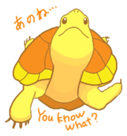 turtle days sticker #7132210