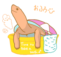 turtle days sticker #7132218