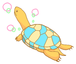 turtle days sticker #7132219