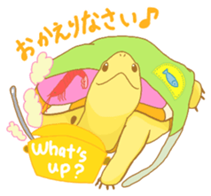 turtle days sticker #7132231