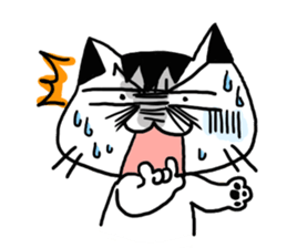 CHACHA CAT sticker #7134275