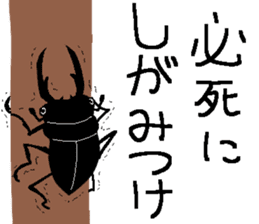 Stag beetle Sticker sticker #7134768