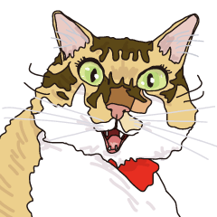 The cats to which love is dear