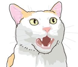 The cats to which love is dear sticker #7137186