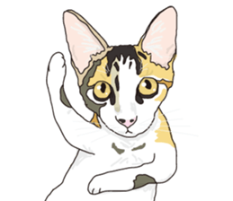 The cats to which love is dear sticker #7137187