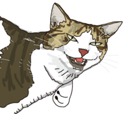 The cats to which love is dear sticker #7137190