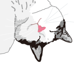 The cats to which love is dear sticker #7137192