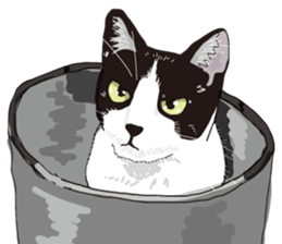 The cats to which love is dear sticker #7137193