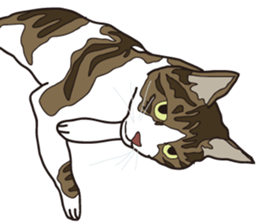 The cats to which love is dear sticker #7137197