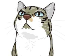 The cats to which love is dear sticker #7137201