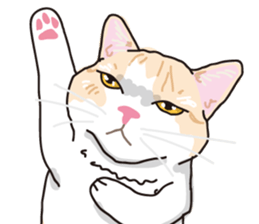 The cats to which love is dear sticker #7137202