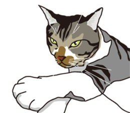 The cats to which love is dear sticker #7137206