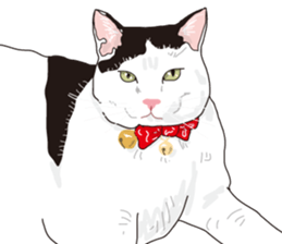 The cats to which love is dear sticker #7137208