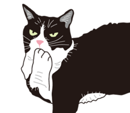 The cats to which love is dear sticker #7137209