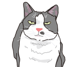 The cats to which love is dear sticker #7137210